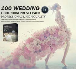 Lightroom预设－100个婚纱照片专用色调：100 Wedding Lightroom Preset Pack